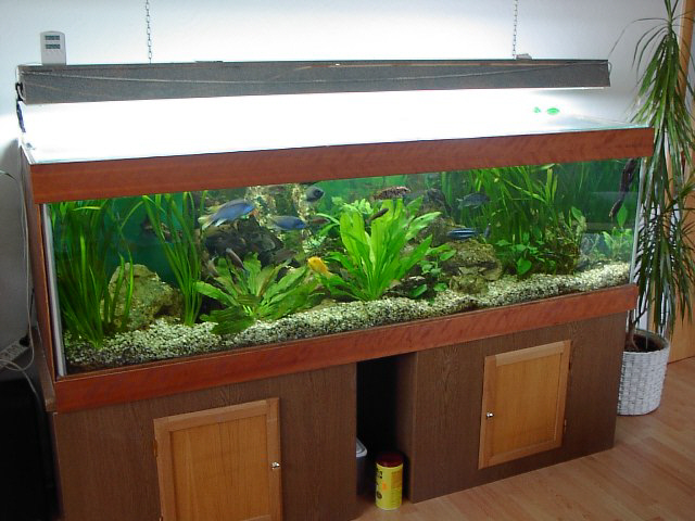 aquarium_3.jpg